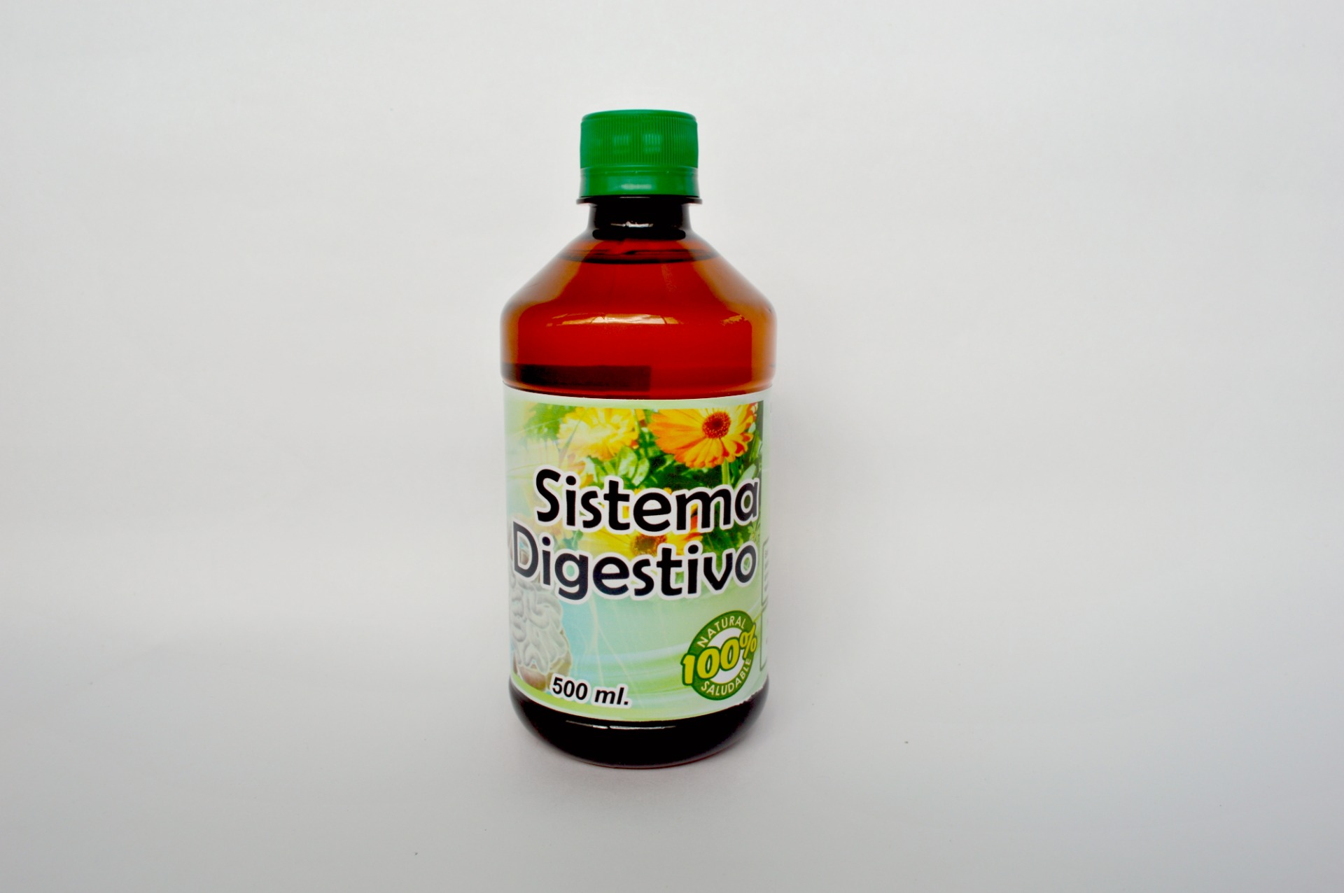 Sistema Digestivo